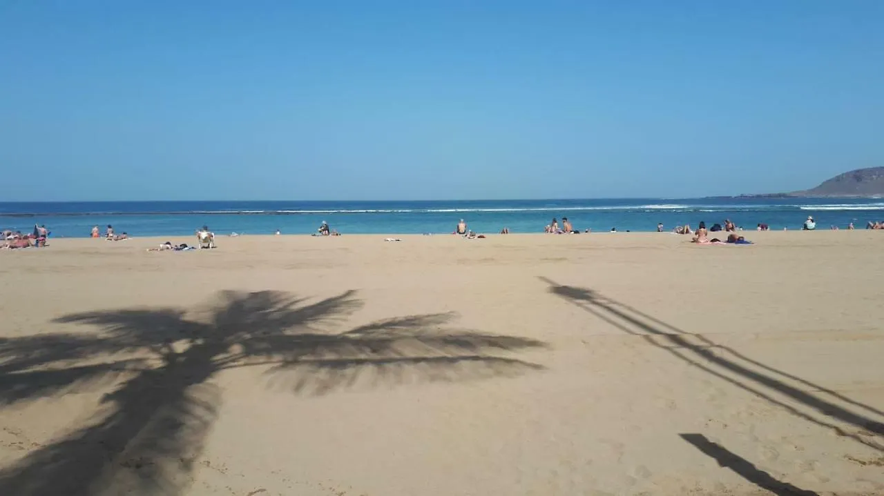 Apartamento Playa contacts